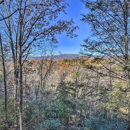 Natures Retreat With Hot Tub 7 Mi To Bryson City Whittier Extérieur photo